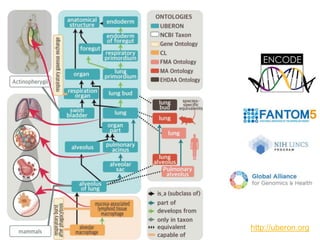http://uberon.org
 