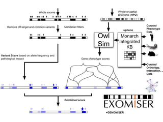 Combined score
Remove off-target and common variants
Whole exome
Variant Score based on allele frequency and
pathological impact
Mendelian filters
Whole or partial
phenome (HPO)
Owl
Sim
Gene phenotype scores
Curated
Phenotype
Data
Monarch
Integrated
KB
upheno
Curated
Orthology,
Interaction, ..
Data
+GENOMISER
 