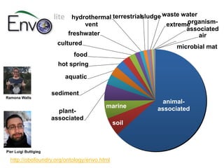 animal-
associated
soil
marine
plant-
associated
sediment
aquatic
hot spring
food
cultured
freshwater
hydrothermal
vent
terrestrialsludge waste water
extremeorganism-
associated
air
microbial mat
lite
http://obofoundry.org/ontology/envo.html
Ramona Walls
Pier Luigi Buttigieg
 