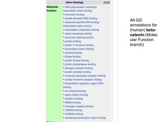 All GO
annotations for
(human) beta-
catenin:(Molec
ular Function
branch)
 