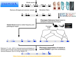 https://www.sanger.ac.uk/resources/databases/exomiser/query/exomiser2
Robinson, P., et al . (2013). Improved exome prioritization of
disease genes through cross species phenotype comparison.
Genome Research. doi:10.1101/gr.160325.113
 