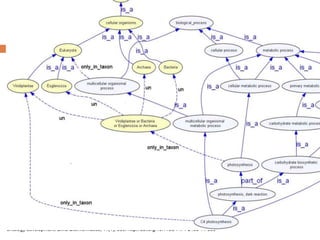 Biological knowledge and curation
QC
 Taxon constraints
 CONCRETE EXAMPLE HERE
 Intersection rules
 (see Seth’s talk)
Deegan, J., Dimmer, E., & Mungall, C. J. (2010). Formalization of taxon-based constraints to detect inconsistencies in annotation and
ontology development. BMC Bioinformatics, 11(1), 530. http://doi.org/10.1186/1471-2105-11-530
 