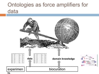 Ontologies as force amplifiers for
data
domain knowledgedata
biocurationexperimen
 