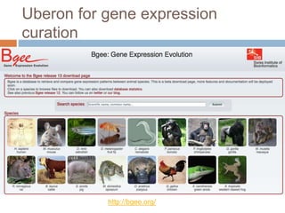 Uberon for gene expression
curation
http://bgee.org/
 