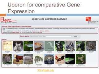 Uberon for comparative Gene
Expression
http://bgee.org/
 