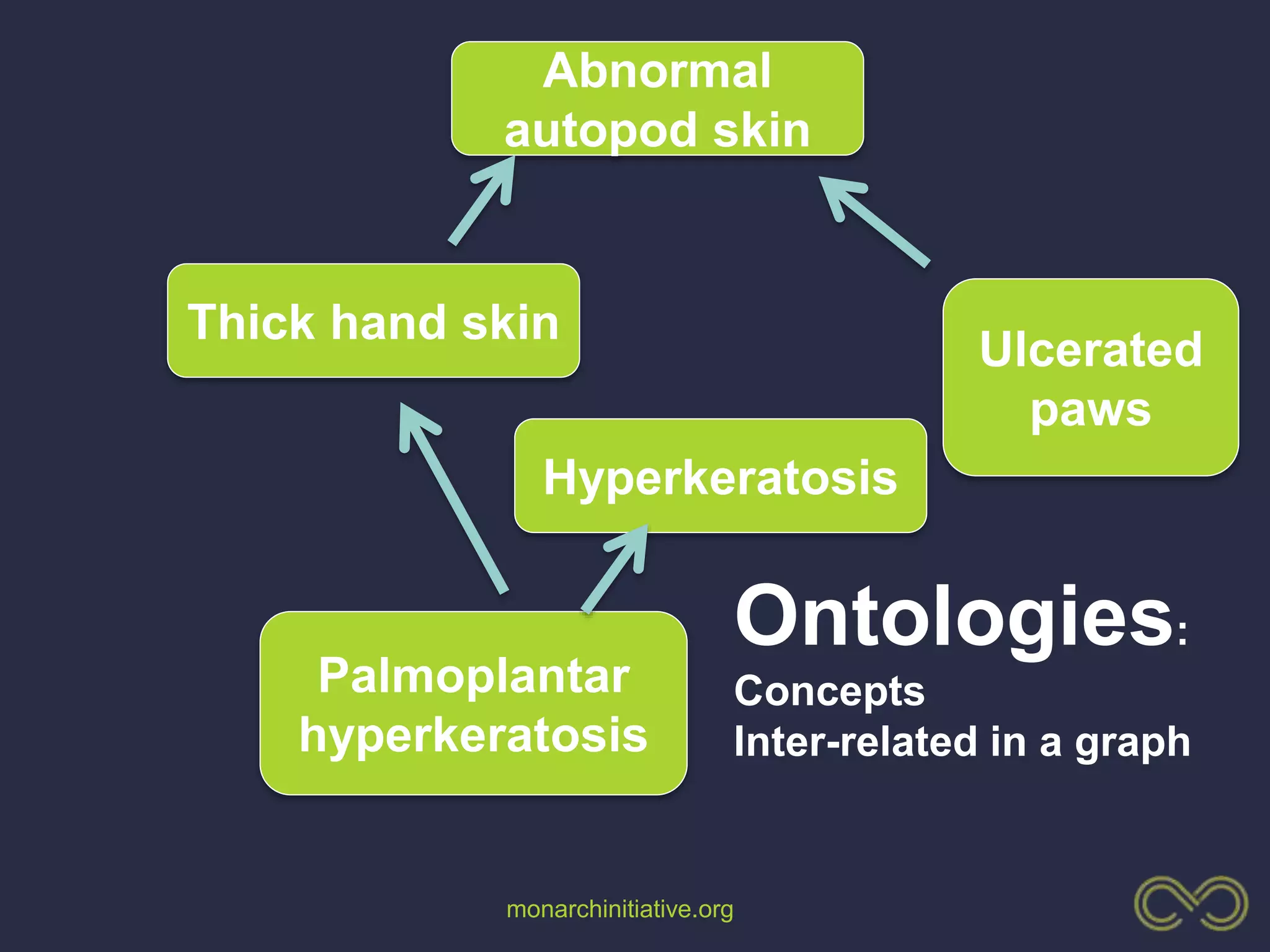 monarchinitiative.org
Ulcerated
paws
Palmoplantar
hyperkeratosis
Thick hand skin
Abnormal
autopod skin
Ontologies:
Concepts
Inter-related in a graph
Hyperkeratosis
 