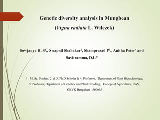 Genetic diversity analysis in Mungbean
(Vigna radiata L. Wilczek)
Sowjanya H. S1., Swapnil Shahakar2, Shamprasad P3., Anitha Peter4 and
Savitramma, D.L.5
1. M. Sc. Student, 2. & 3. Ph.D Scholar & 4. Professor, Department of Plant Biotechnology,
5. Professor, Department of Genetics and Plant Breeding, College of Agriculture, UAS,
GKVK Bengaluru - 560065
 