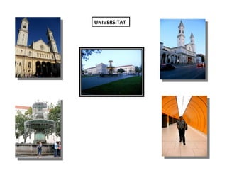 UNIVERSITAT
 