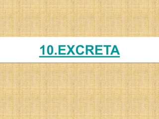 10.EXCRETA
 