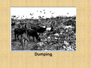 Dumping
 