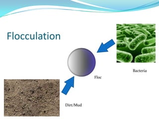 Macroflocculation Municipal water treatment project | PPTX