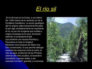 El río sil   El río Sil nace en la Cueta, a una altitud De 1.846 metros de la vertiente sur de la Cordillera Cantábrica. La acción geológica del río origina valles típicamente fluviales. Si por algo verdaderamente es importante el río, es por ser el agente que modela y origina el paisaje de la zona, formando además un ecosistema lineal que presenta una riqueza florística y Faunística en toda su longitud. Mantiene unos bosques de ribera muy bien conservados, lo que permite albergar especies tan esquivas como la nutria, la rata de agua, el desmán de los Pirineos; además del mirlo acuático, la lavandera cascadeña o garzas reales; y por supuesto truchas!!!, grandes y numerosas  