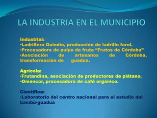 Industrial:
•Ladrillera Quindío, producción de ladrillo farol.
•Procesadora de pulpa de fruta “Frutos de Córdoba”
•Asociación
de
artesanos
de
Córdoba,
transformación de
guadua.
Agrícola:
•Frutandina, asociación de productores de plátano.
•Omancor, procesadora de café orgánico.
Científica:
•Laboratorio del centro nacional para el estudio del
bambú-guadua

 