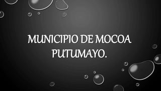 MUNICIPIO DE MOCOA
PUTUMAYO.
 