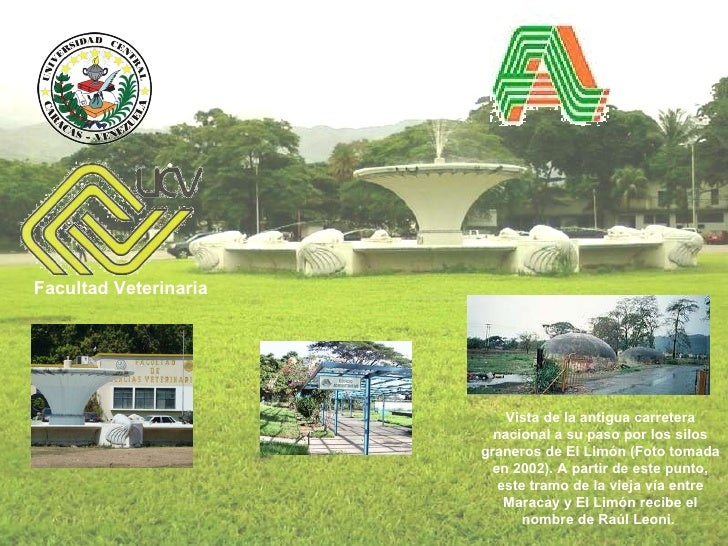 Municipio mario briceño iragorry