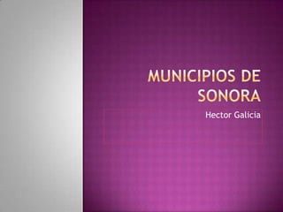 Municipios de sonora Hector Galicia 