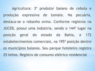 Agricultura: 3º produtor baiano de cebola e
produção expressiva de tomate. Na pecuária,
destaca-se o rebanho ovino. Conforme registros na
JUCEB, possui uma indústria, sendo o 144º lugar na
posição geral do estado da Bahia, e 172
estabelecimentos comerciais, na 195ª posição dentre
os municípios baianos. Seu parque hoteleiro registra
25 leitos. Registro de consumo elétrico residencial
 