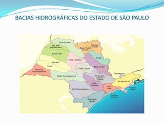 BACIAS HIDROGRÁFICAS DO ESTADO DE SÃO PAULO