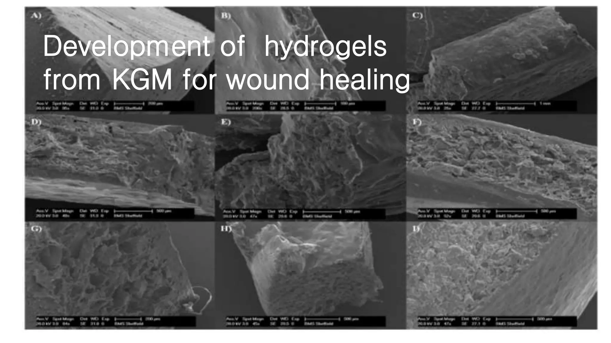 HYDROGELS FOR WOUND HEALING AND TISSUE ENGINEERING APPLICATIONS | PPTX