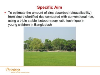 Other Bio-fortification example – High Zinc Rice