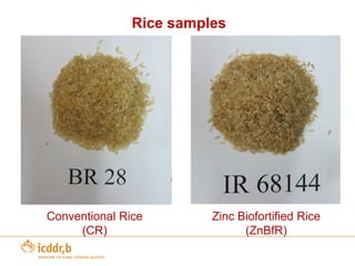 Other Bio-fortification example – High Zinc Rice