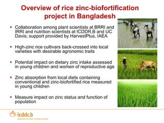 Other Bio-fortification example – High Zinc Rice