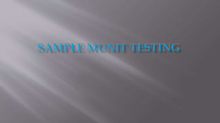 Munit-testing-sample