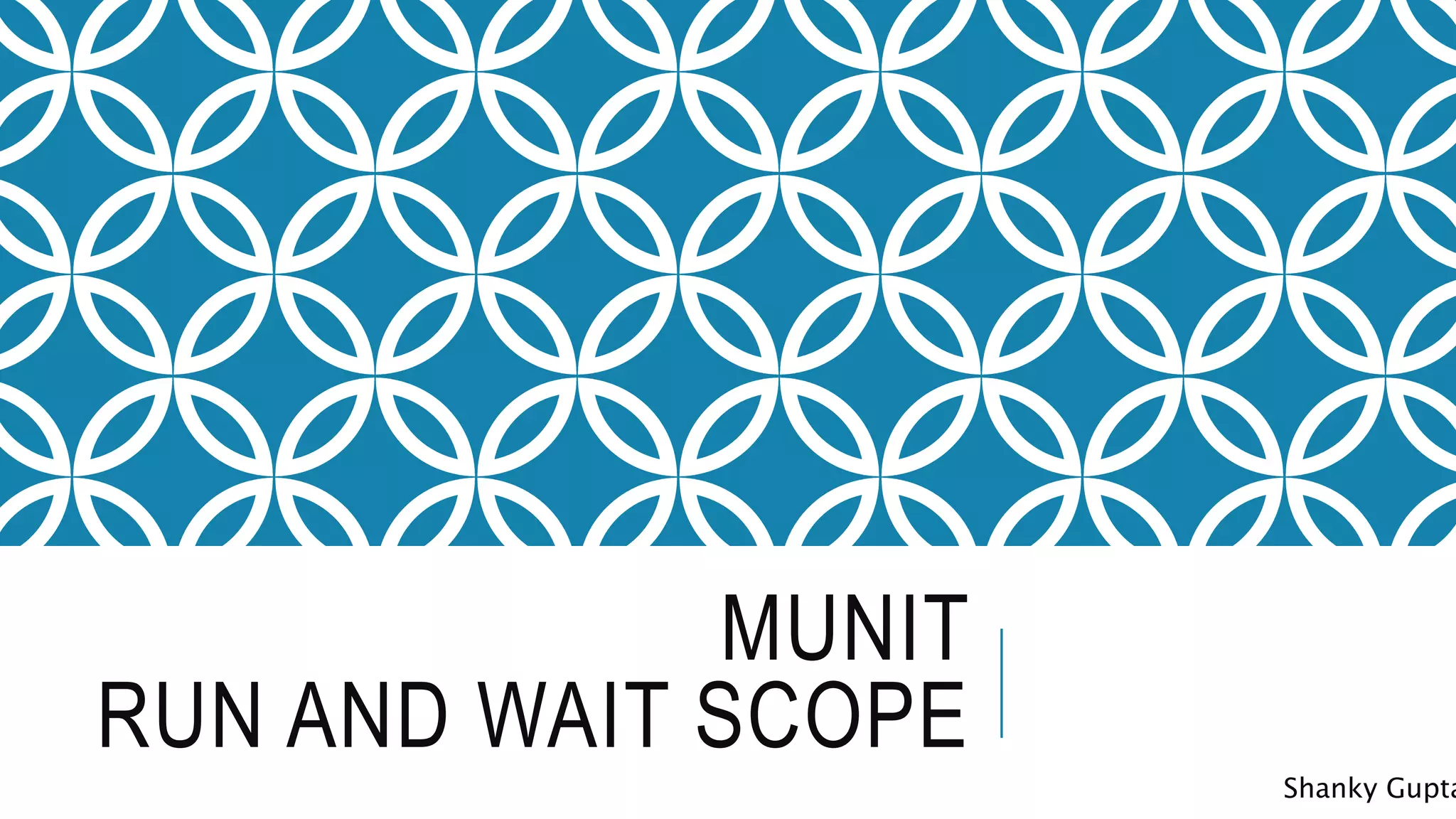 MUNIT
RUN AND WAIT SCOPE
Shanky Gupta