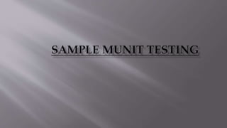 Munit testing sample