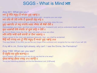 SGGS -What is Mind mn 
Ang441: What are you? 
ਮਨ ਤੂੂੰ ਜੋਤਤ ਸਰੂਪੁ ਹੈ ਆਪਣਾ ਮੂਲੁ ਪਛਾਣੁ ॥ 
O my mind, you are the embodiment of the Divine Light -recognize your own origin. 
ਮਨ ਹਤਰ ਜੀ ਤੇਰੈ ਨਾਤਲ ਹੈ ਗੁਰਮਤੀ ਰੂੰਗੁ ਮਾਣੁ ॥ 
O my mind, the Dear Lord is with you; through the Guru's Teachings, enjoy His Love. 
ਮੂਲੁ ਪਛਾਣਤਹ ਤਾਂ ਸਹੁ ਜਾਣਤਹ ਮਰਣ ਜੀਵਣ ਕੀ ਸੋਝੀ ਹੋਈ ॥ 
Acknowledge your origin, and then you shall know your Husband Lord, and so understand death and birth. 
ਗੁਰ ਪਰਸਾਦੀ ਏਕੋ ਜਾਣਤਹ ਤਾਂ ਦੂਜਾ ਭਾਉ ਨ ਹੋਈ ॥ 
By Guru's Grace, know the One; then, you shall not love any other. 
ਮਤਨ ਸਾਂਤਤ ਆਈ ਵਜੀ ਵਧਾਈ ਤਾ ਹੋਆ ਪਰਵਾਣੁ ॥ 
Peace comes to the mind, and gladness resounds; then, you shall be acclaimed. 
ਇਉ ਕਹੈ ਨਾਨਕੁ ਮਨ ਤੂੂੰ ਜੋਤਤ ਸਰੂਪੁ ਹੈ ਅਪਣਾ ਮੂਲੁ ਪਛਾਣੁ ॥੫॥ 
Thus says Nanak: O my mind, you are the very image of the Luminous Lord; recognize the true origin of your self. ||5| 
If my mnis Jot, Divine light already, why can't I see the Divine, the Parmatma? 
Ang1160: What can you see? 
ਹੈ ਹਜੂਤਰ ਕਤ ਦੂਤਰ ਬਤਾਵਹੁ ॥ 
God is present, right here at hand; why do you say that He is far away? 
ਦੁੂੰਦਰ ਬਾਧਹੁ ਸੁੂੰਦਰ ਪਾਵਹੁ ॥੧॥ ਰਹਾਉ ॥ 
Tie up your disturbing passions, and find the Beauteous Lord. ||1||Pause||  