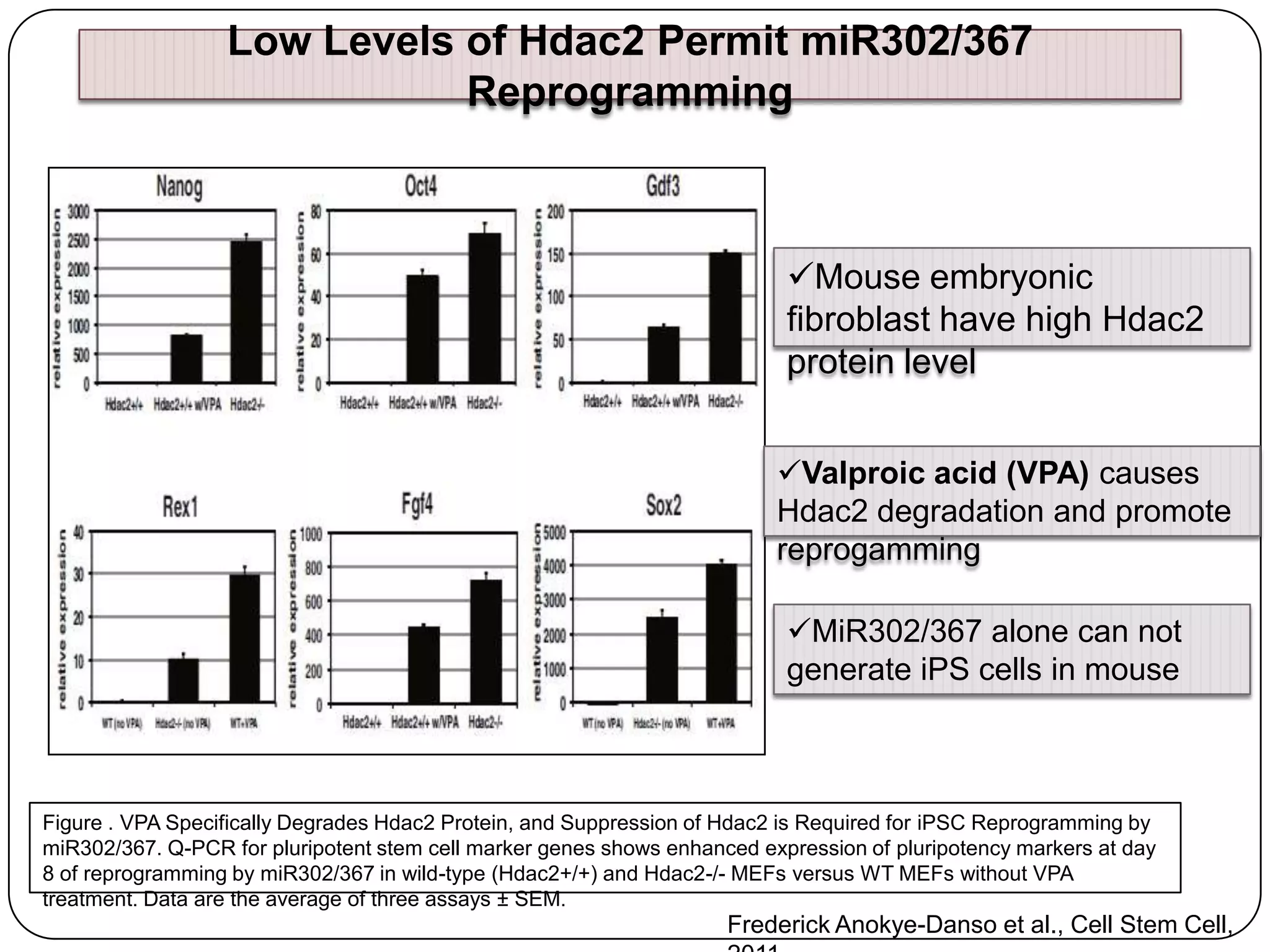 Low Levels of Hdac2 Permit miR302/367
Reprogramming

Mouse embryonic
fibroblast have high Hdac2
protein level
Valproic acid (VPA) causes
Hdac2 degradation and promote
reprogamming
MiR302/367 alone can not
generate iPS cells in mouse

Figure . VPA Specifically Degrades Hdac2 Protein, and Suppression of Hdac2 is Required for iPSC Reprogramming by
miR302/367. Q-PCR for pluripotent stem cell marker genes shows enhanced expression of pluripotency markers at day
8 of reprogramming by miR302/367 in wild-type (Hdac2+/+) and Hdac2-/- MEFs versus WT MEFs without VPA
treatment. Data are the average of three assays ± SEM.

Frederick Anokye-Danso et al., Cell Stem Cell,

 