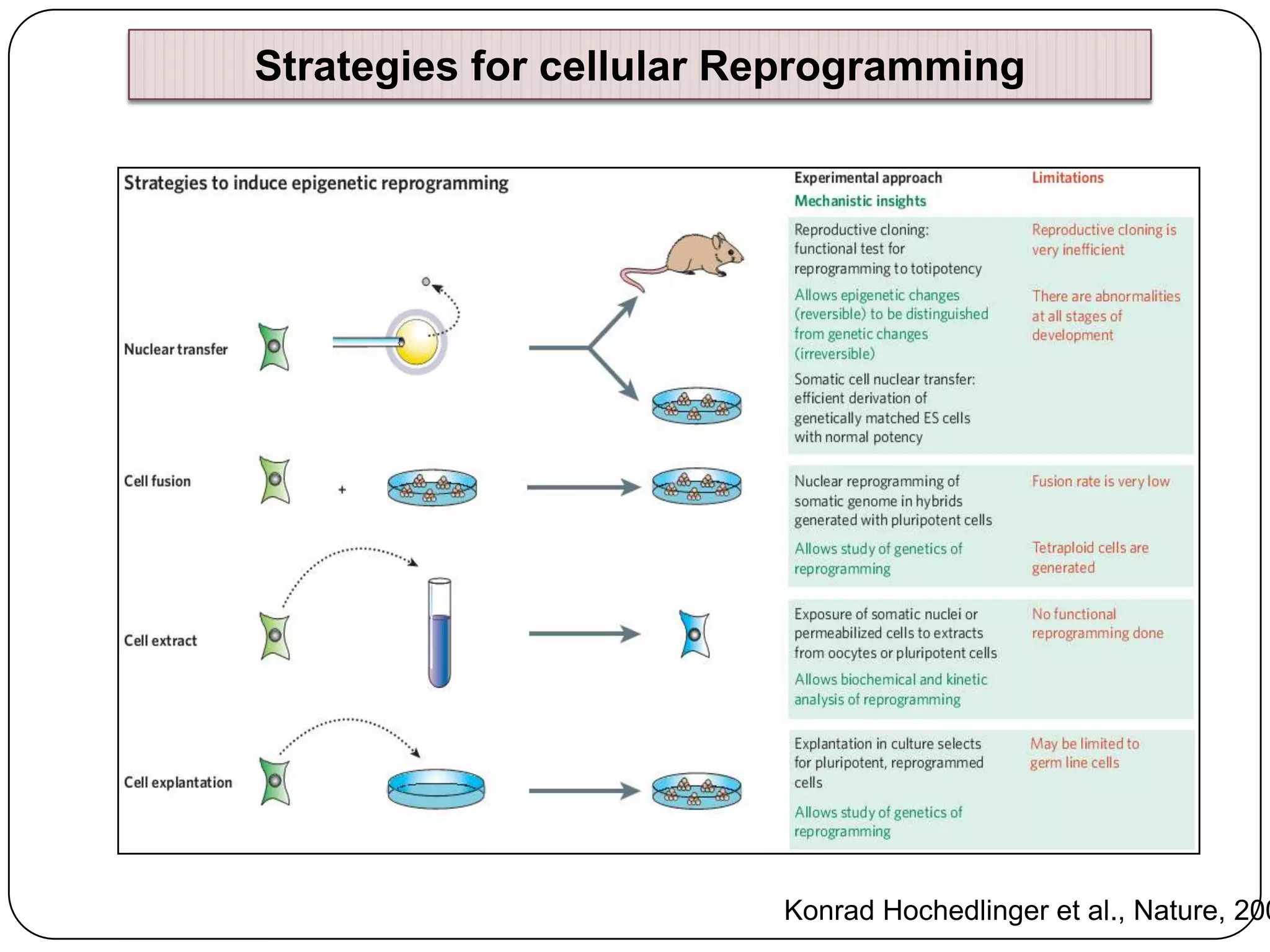 Strategies for cellular Reprogramming

Konrad Hochedlinger et al., Nature, 200

 
