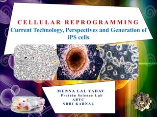 CELLULAR REPROGRAMMING
Current Technology, Perspectives and Generation of
iPS cells

M U N N A L A L YA D AV
Protein Science Lab
ABTC
NDRI KARNAL

 