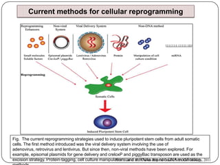 Model Reprogramming Methods CELLULAR REPROGRAMMING: Current Technology, Perspectives and Generation ...