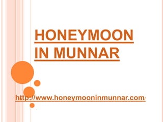 HONEYMOON IN MUNNAR http://www.honeymooninmunnar.com/ 