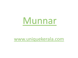 Munnar www.uniquekerala.com 