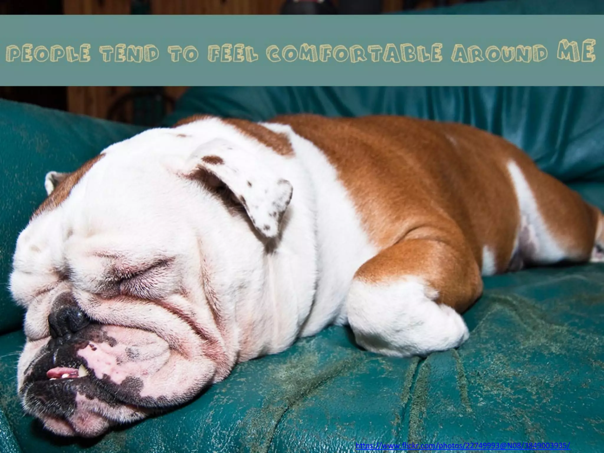 h"ps://www.flickr.com/photos/22749993@N08/3849003935/ 
 