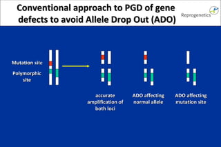 Mutation site Polymorphic site Conventional approach to PGD of gene defects to avoid Allele Drop Out (ADO) accurate amplification of both loci ADO affecting normal allele ADO affecting mutation site