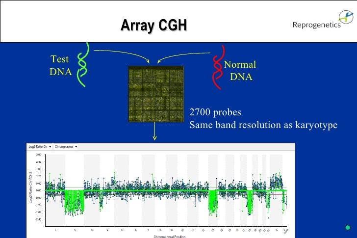 Munne Array Cgh Update 2010 05