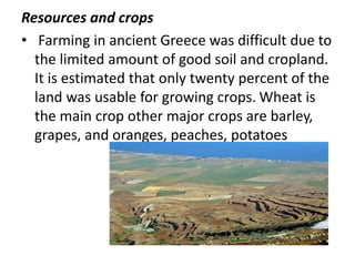 Resources and crops
• Farming in ancient Greece was difficult due to
the limited amount of good soil and cropland.
It is estimated that only twenty percent of the
land was usable for growing crops. Wheat is
the main crop other major crops are barley,
grapes, and oranges, peaches, potatoes
 