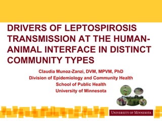 DRIVERS OF LEPTOSPIROSIS
TRANSMISSION AT THE HUMANANIMAL INTERFACE IN DISTINCT
COMMUNITY TYPES
Claudia Munoz-Zanzi, DVM, MPVM, PhD
Division of Epidemiology and Community Health
School of Public Health
University of Minnesota

 