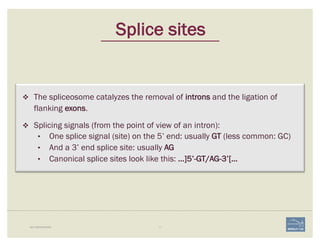 11BIO-REFRESHER
Splice sites
v The spliceosome catalyzes the removal of introns and the ligation of
flanking exons.
v Spli...