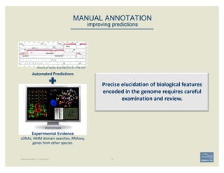 MANUAL ANNOTATION
improving predictions
Precise	elucidation	of	biological	features	
encoded	in	the	genome	requires	careful...
