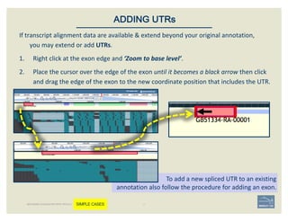 If	transcript	alignment	data	are	available	&	extend	beyond	your	original	annotation,	
you	may	extend	or	add	UTRs.	
1. Righ...