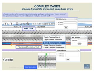 DNA	Track
‘User-created	Annotations’	Track
COMPLEX CASES
annotate frameshifts and correct single-base errors
Always	rememb...