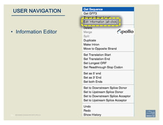 55 |
USER NAVIGATION
BECOMING ACQUAINTED WITH APOLLO
• Information Editor
 