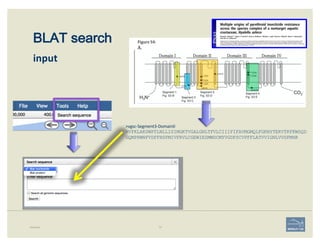 BLAT search
input
Example 75
>vgsc-Segment3-DomainII	
RVFKLAKSWPTLNLLISIMGKTVGALGNLTFVLCIIIFIFAVMGMQLFGKNYTEKVTKFKWSQD
GQM...