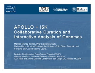 APOLLO + i5K 
Collaborative Curation and  
Interactive Analysis of Genomes
Monica Munoz-Torres, PhD | @monimunozto 
Nathan Dunn, Monica Poelchau, Ian Holmes, Colin Diesh, Deepak Unni,
Christine Elsik, and Suzanna Lewis.
 
Berkeley Bioinformatics Open-Source Projects (BBOP) 
Genomics Division, Lawrence Berkeley National Laboratory 
XXIII Plant and Animal Genome Conference. San Diego, CA. January 14, 2015
 