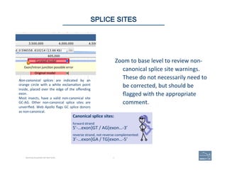Zoom	
  to	
  base	
  level	
  to	
  review	
  non-­‐
canonical	
  splice	
  site	
  warnings.	
  
These	
  do	
  not	
  n...
