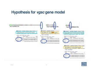 Editing: merge
Example 82
Merge	
  by	
  dropping	
  an	
  
exon	
  or	
  gene	
  model	
  
onto	
  another.	
  
Merge	
  ...